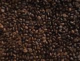 Leading coffee roasters with wholesale accounts